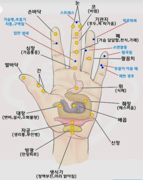 체했을때 지압 7군데